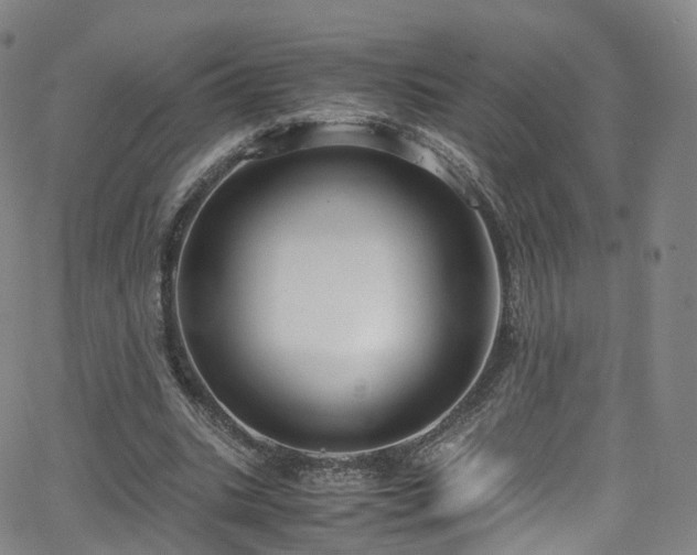 X0000063470535200601201313