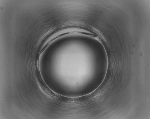 X0000063470538200601201313
