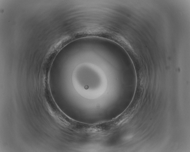 X0000063470542200601201313