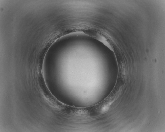 X0000063470546200601201314