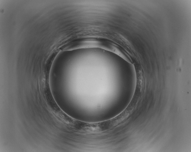 X0000063470552200601201314
