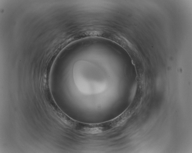 X0000063470553200601201314