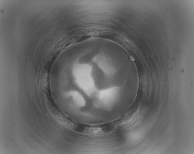 X0000063470554200601201314