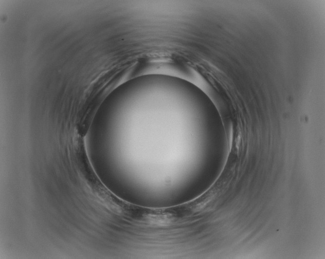 X0000063470556200601201314