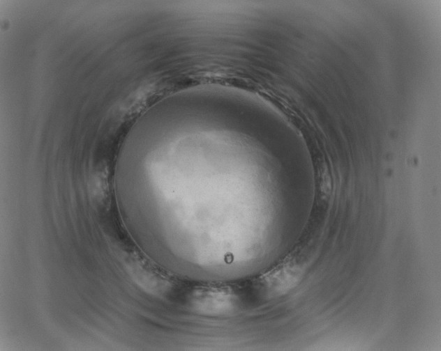 X0000063470559200601201314