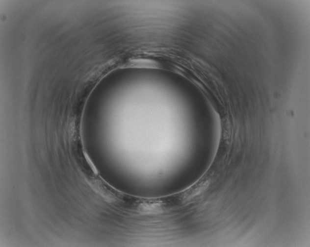X0000063470560200601201314