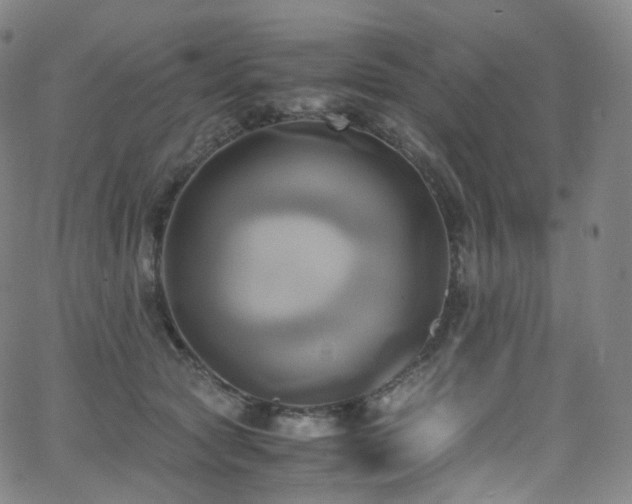 X0000063470561200601201314