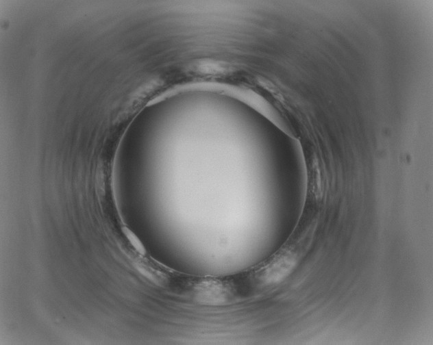X0000063470562200601201314