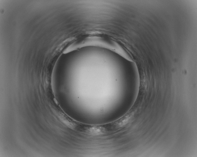 X0000063470566200601201314