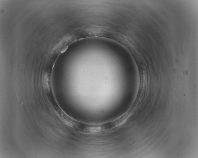 X0000063470575200601201314