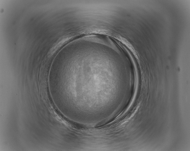 X0000063470577200601201313