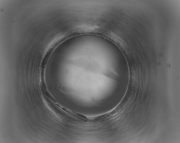 X0000063470582200601201313