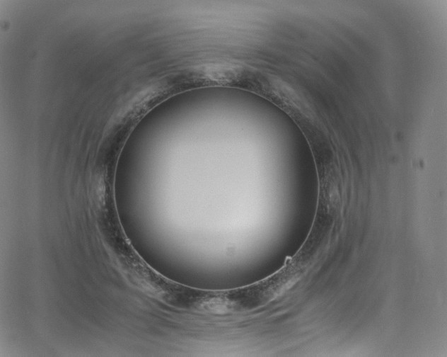 X0000063470595200601201313