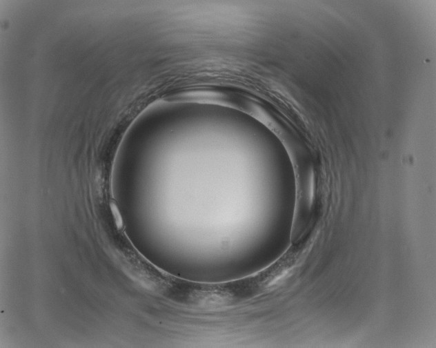 X0000063470597200601201313