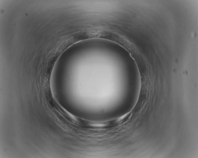 X0000063470601200601201313