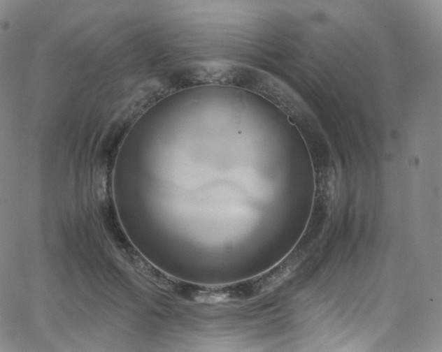 X0000063470602200601201313