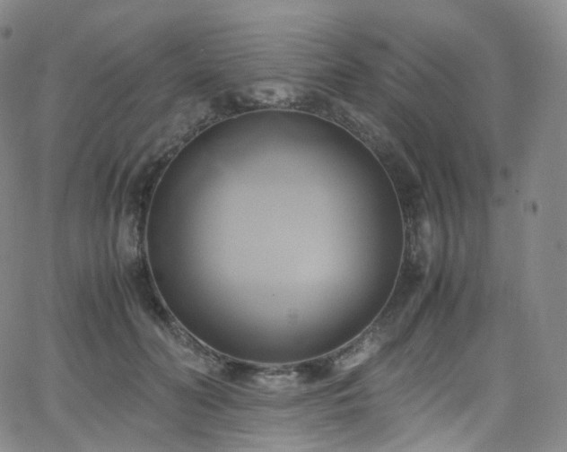 X0000063470606200601201313