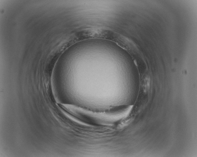 X0000063470607200601201313
