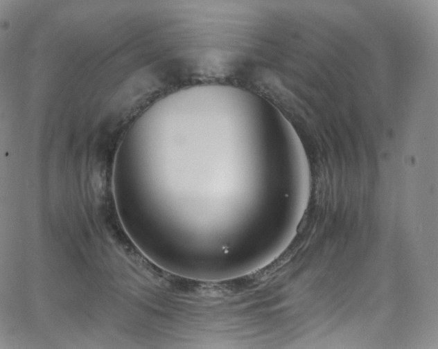 X0000063470608200601201313