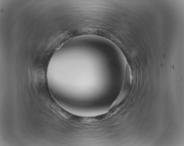 X0000063470617200601201313