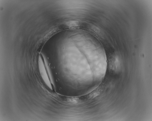 X0000063470618200601201313