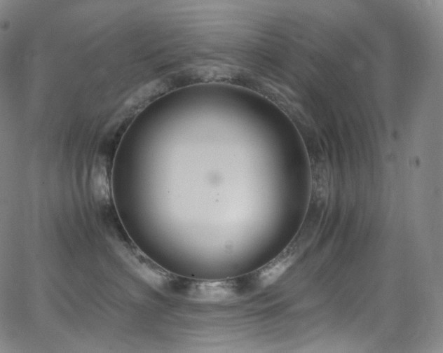 X0000063470622200601201312