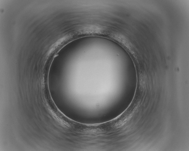 X0000063470629200601201312