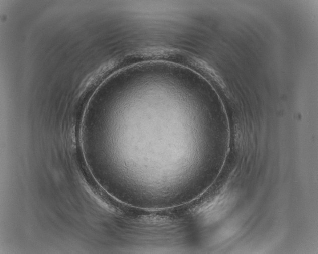 X0000063470633200601201312