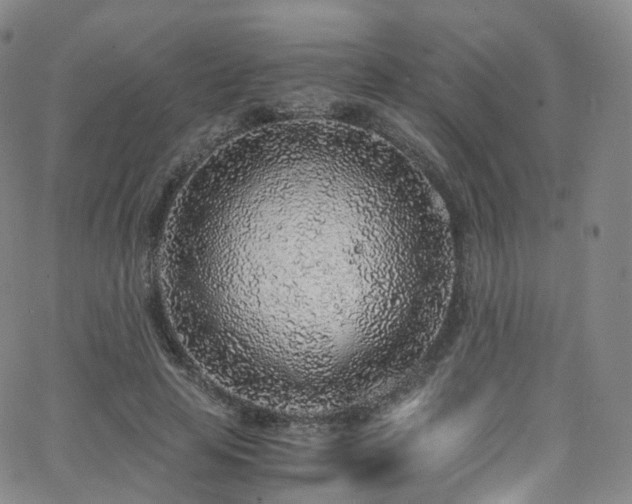 X0000063470641200601201312