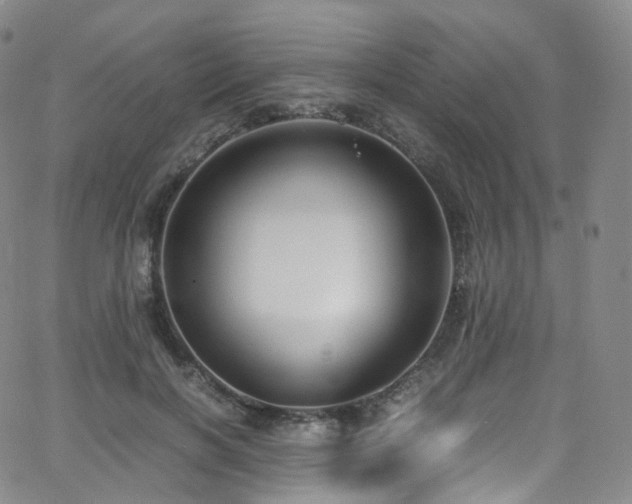 X0000063470646200601201312