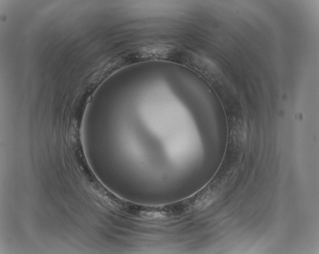 X0000063470649200601201312