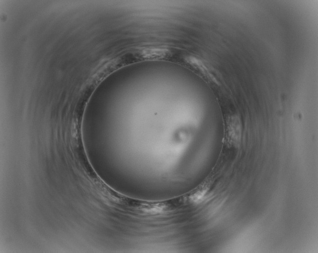 X0000063470667200601201312