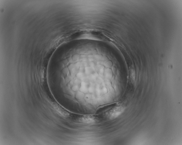 X0000063470668200601201312