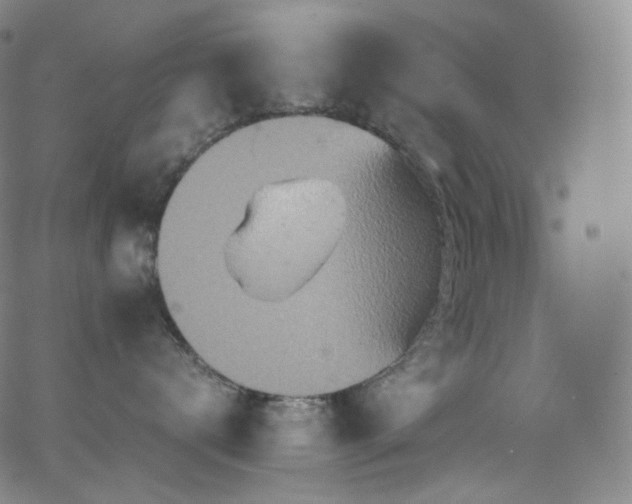 X0000063470672200601201312