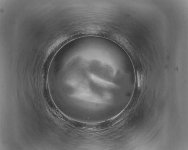 X0000063470675200601201312