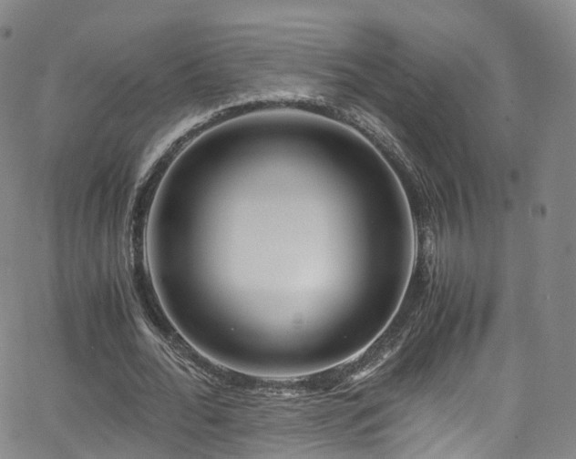 X0000063470676200601201312