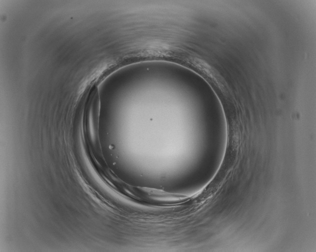 X0000063470677200601201312