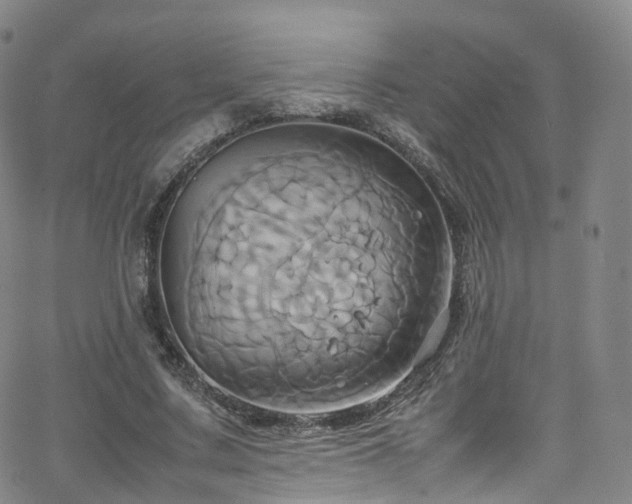 X0000063470683200601201311