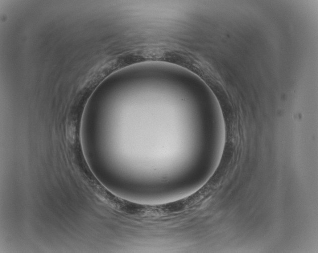 X0000063470697200601201311