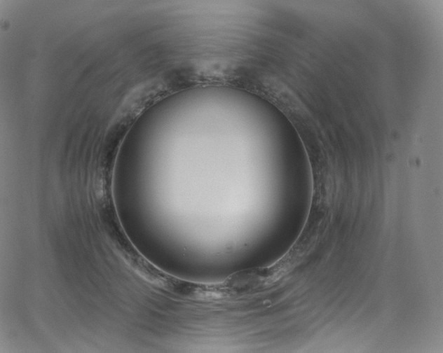X0000063470706200601201311