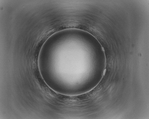 X0000063470743200601201310