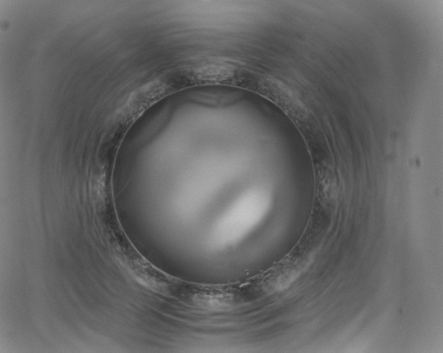X0000063470745200601201311