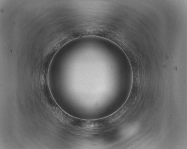 X0000063470746200601201311