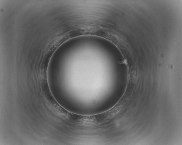 X0000063470756200601201311