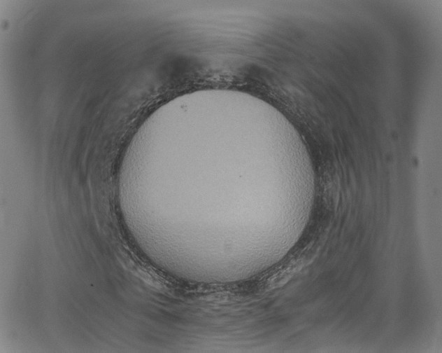 X0000063470769200601201310