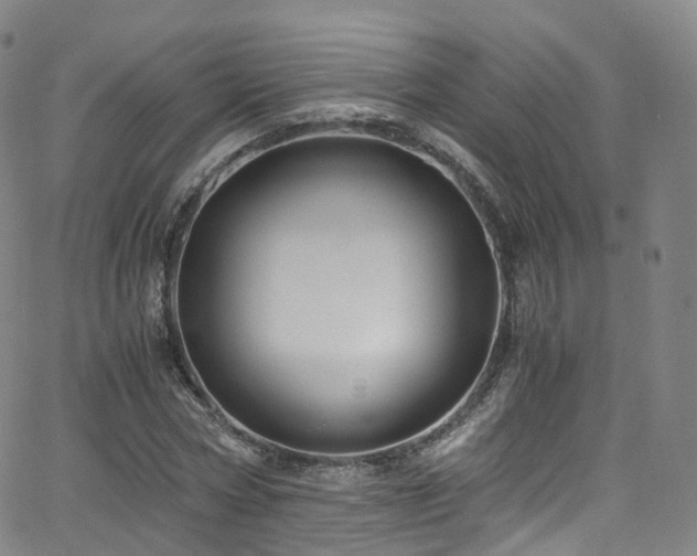 X0000063470778200601201310