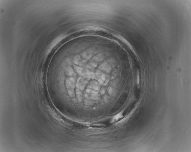 X0000063470783200601201310