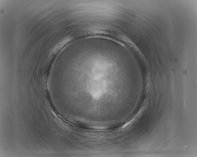 X0000063470785200601201310