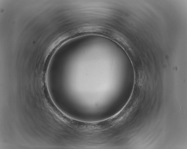 X0000063470786200601201310