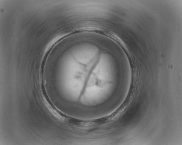 X0000063470795200601201310